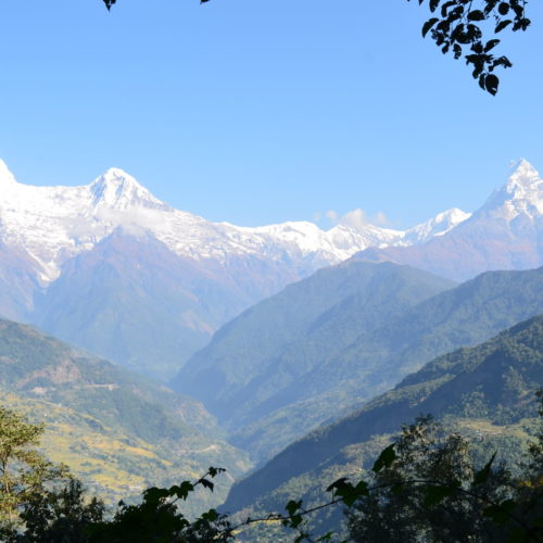 best of mardi himal trek, netherlands camp