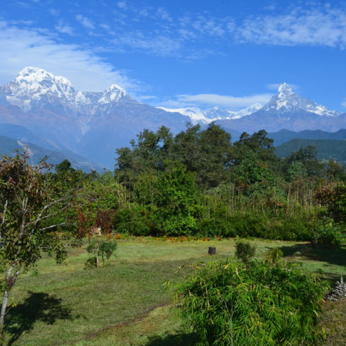 Mt Annapurna south, Himchuli, and Fishtail from Kalsee Eco-lodge