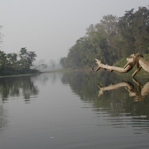 Rapti river Chitwan