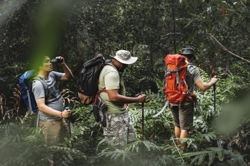 Three hikers with backpacks pause in a dense forest; one uses binoculars while the others adjust trekking poles.
